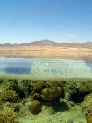 Barren desert and contrasting underwater life taken in Na... by Nikki Van Veelen 